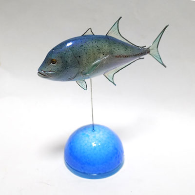 フィッシュディスプレイ